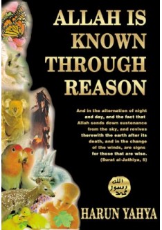 Allah is Known Through Reason Allah is Known Through Reason