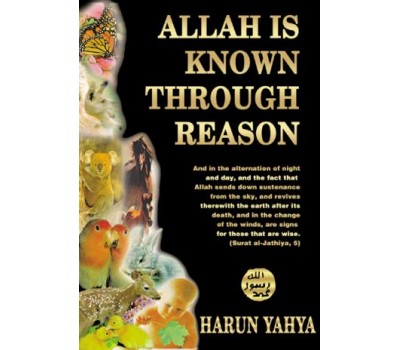 Allah is Known Through Reason