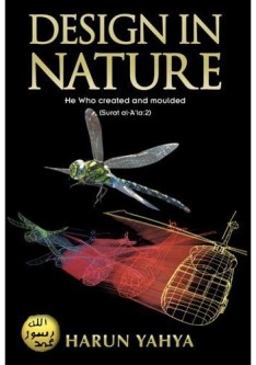 Design in Nature
