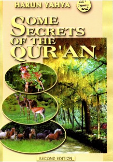 Some Secrets of The Quran