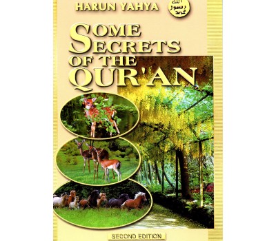 Some Secrets of The Quran