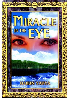 Miracle in the Eye