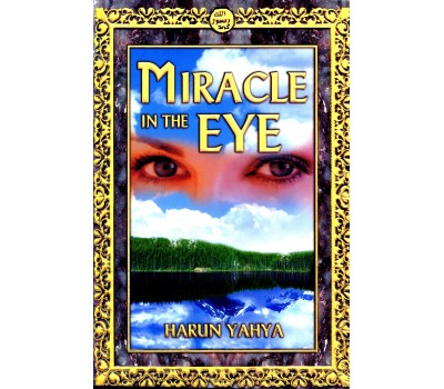 Miracle in the Eye