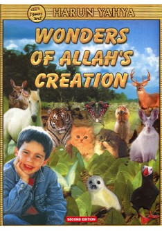 Wonders of Allah's Creation