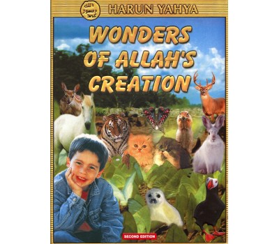 Wonders of Allah's Creation